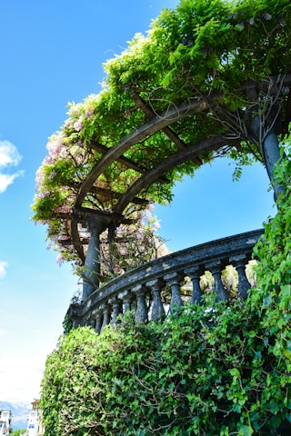 A beautifully finished stone patio with elegant retaining walls, surrounded by lush greenery under a clear blue sky.