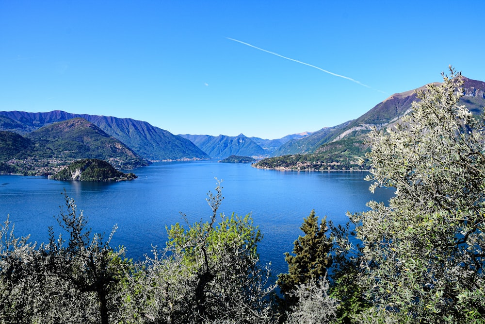 a lake surrounded by trees