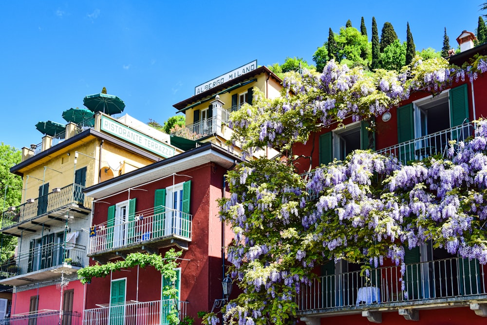 a building with a fence and flowers on the side