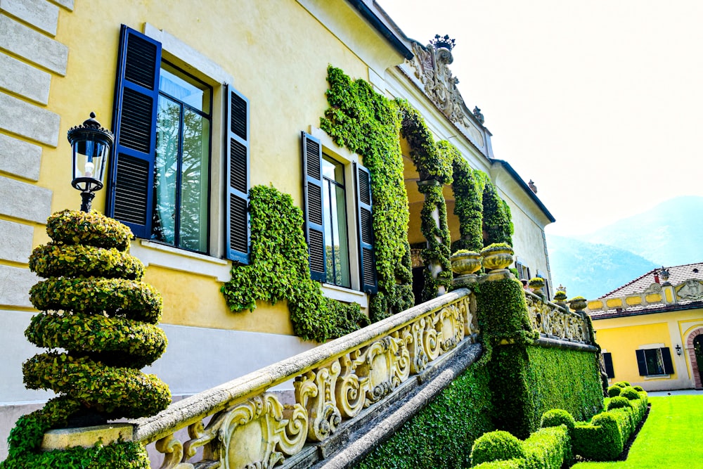 a house with a staircase and plants on the side