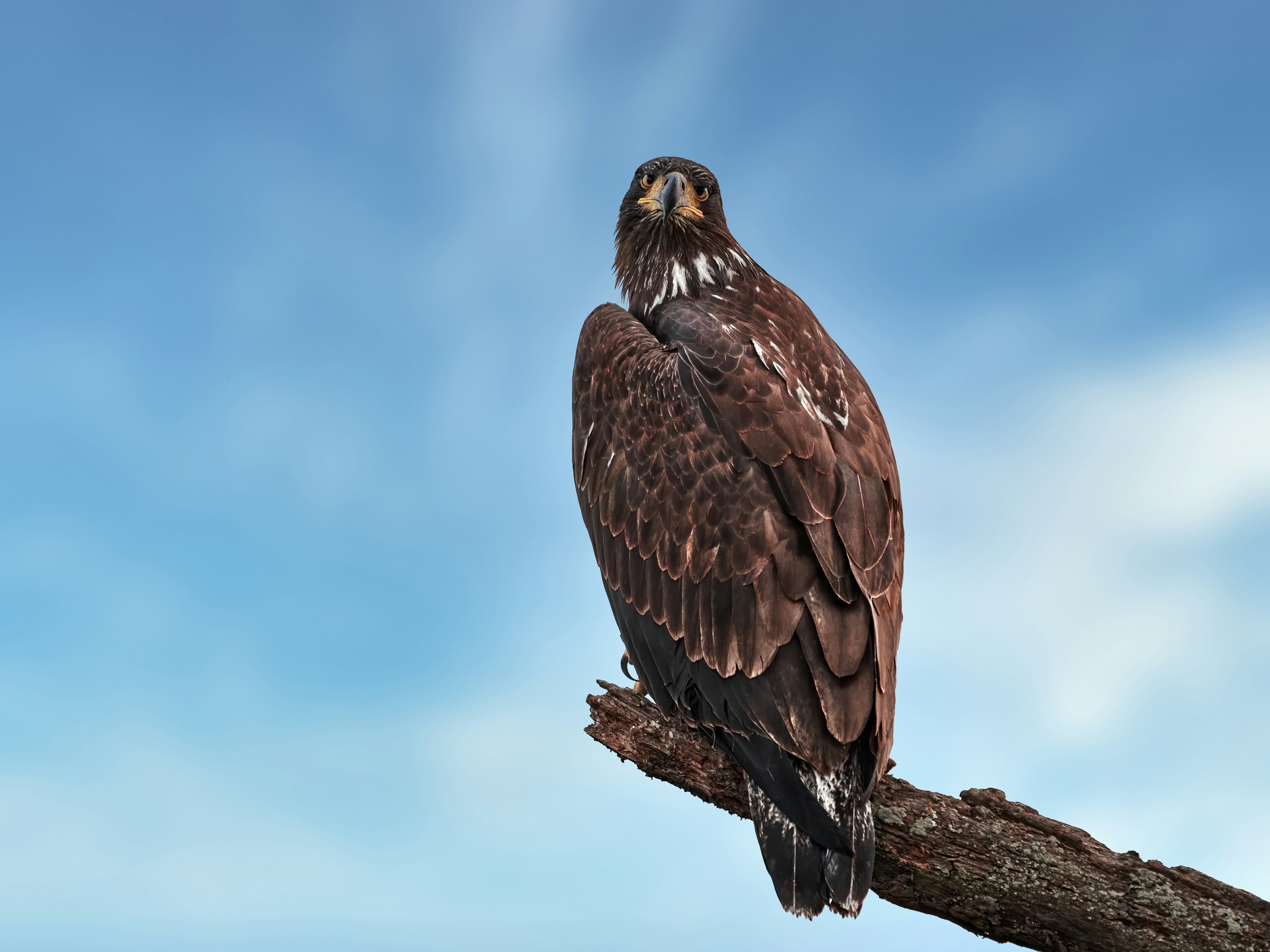 Photo by rolandoyera