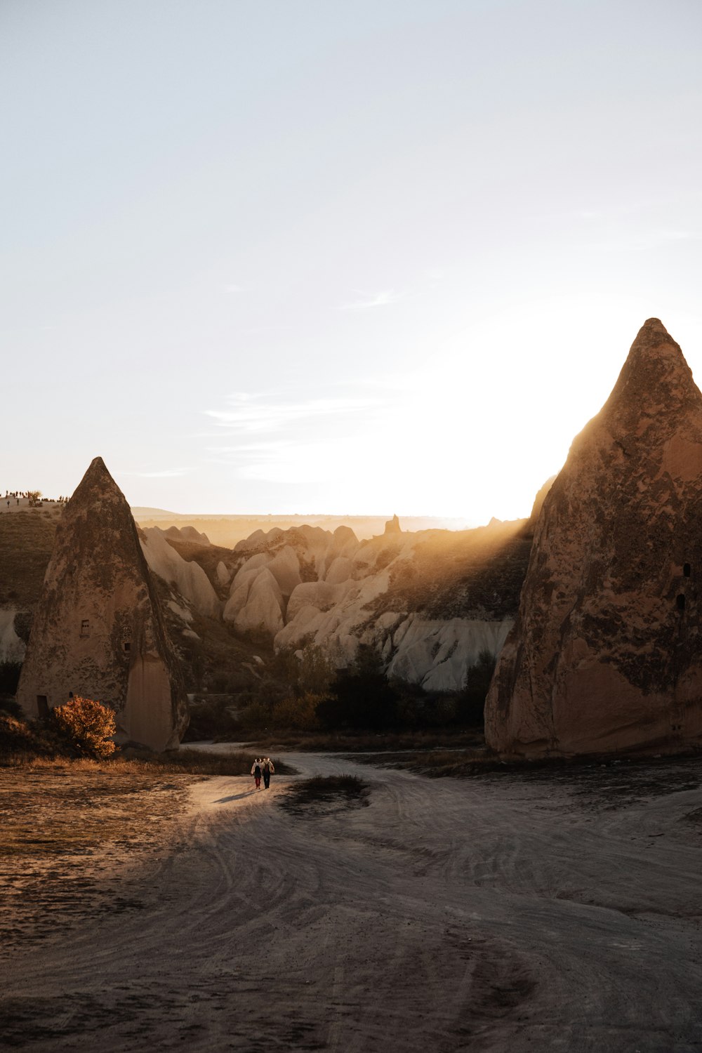 a person and a dog walking on a dirt road between large rocks