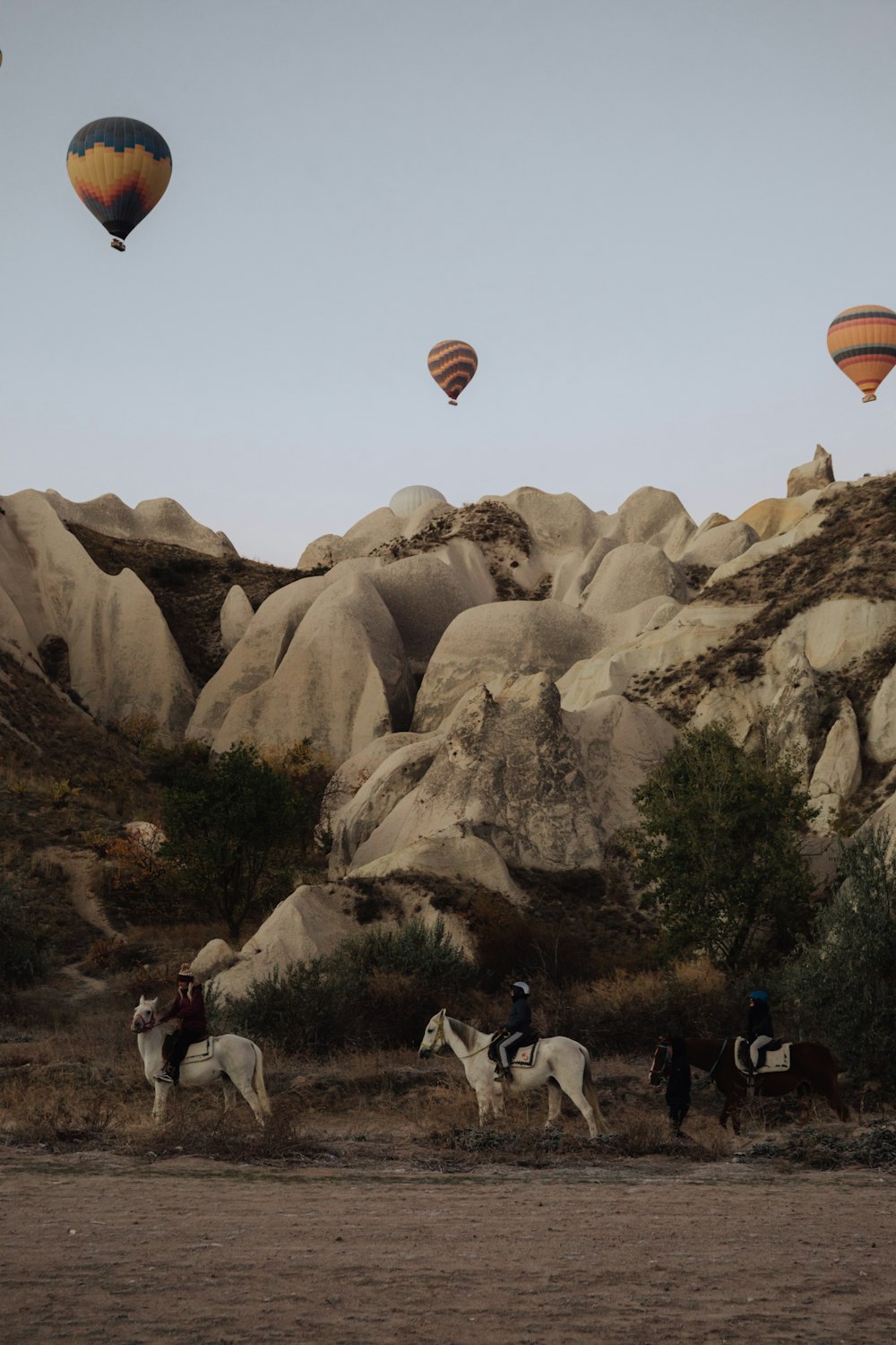 a group of people parachuting