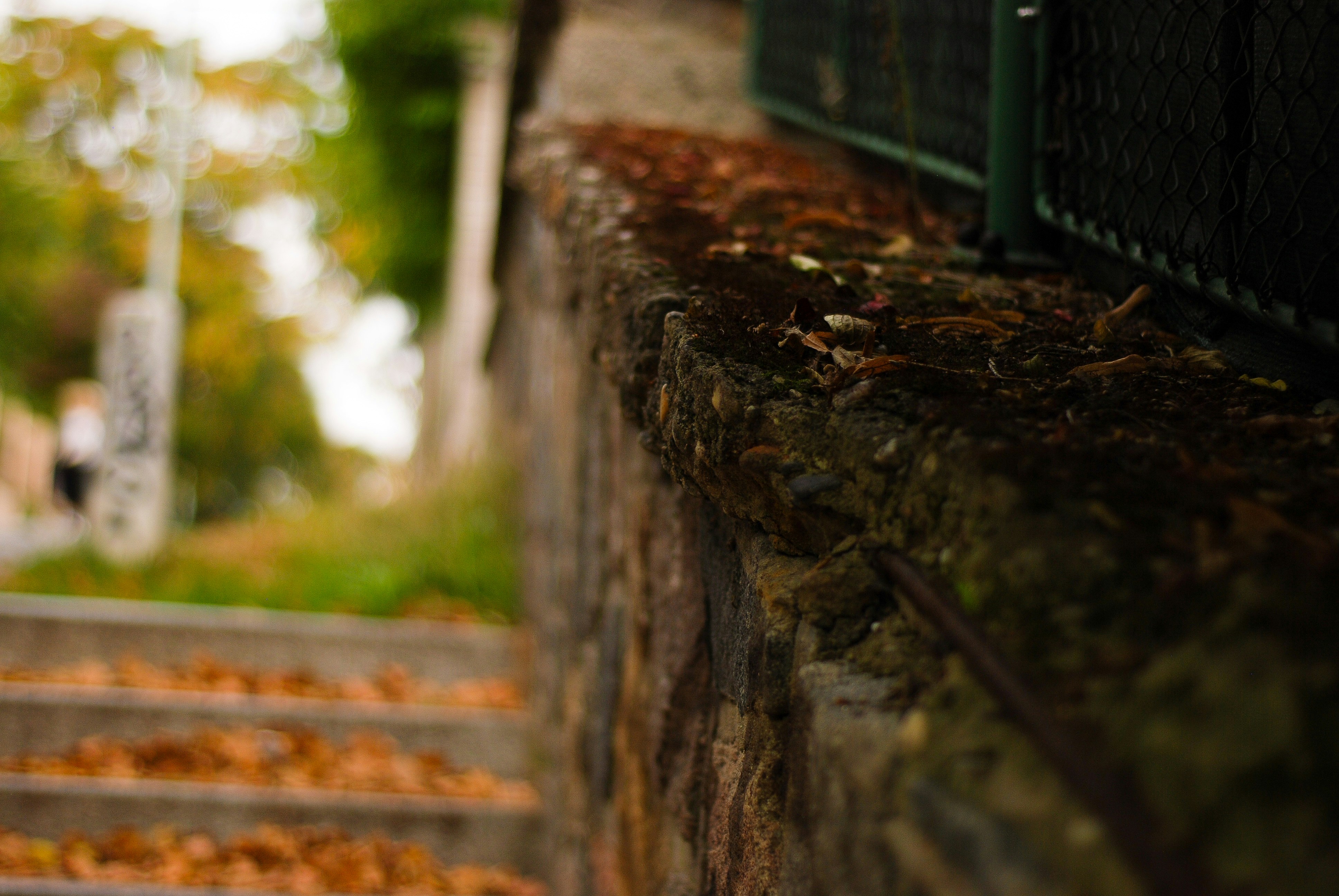 Photo by anna_lit2978