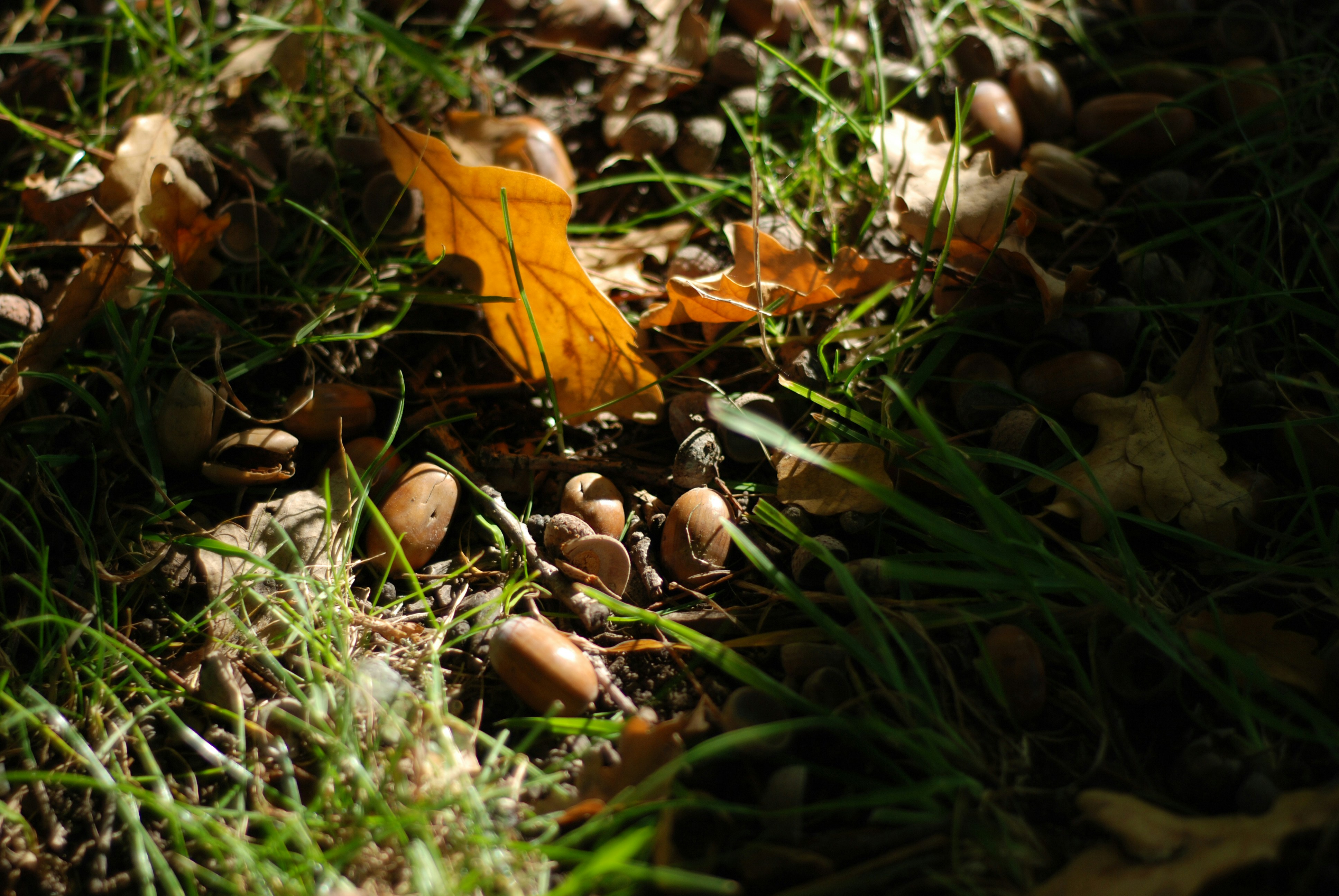 Photo by anna_lit2978