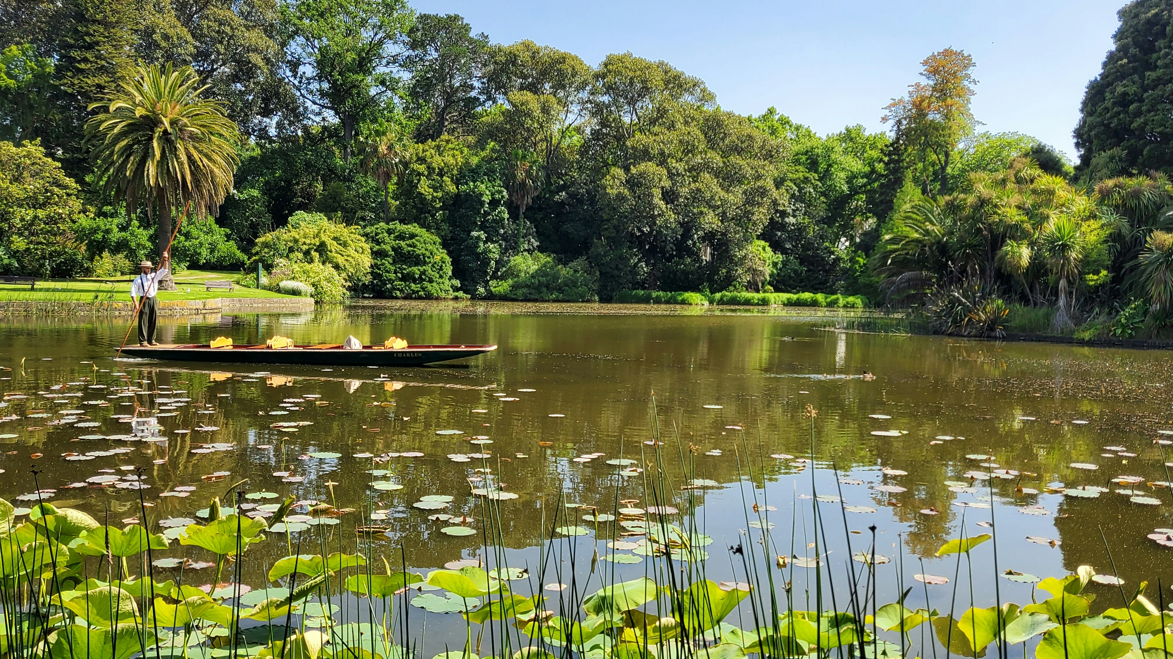 Photo by mustang_sally