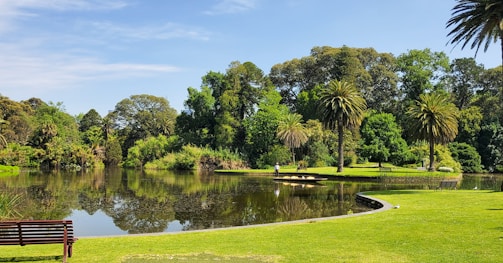 a bench next to a pond