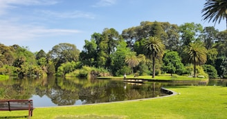 a bench next to a pond