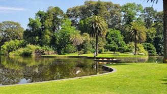 a pond with trees and grass around it