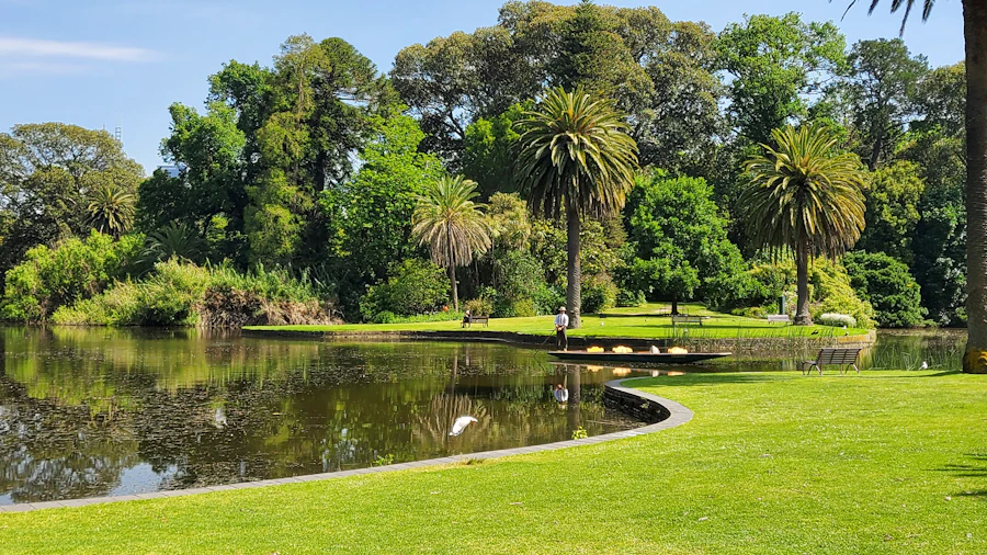 Path through the Royal Botanic Gardens Melbourne