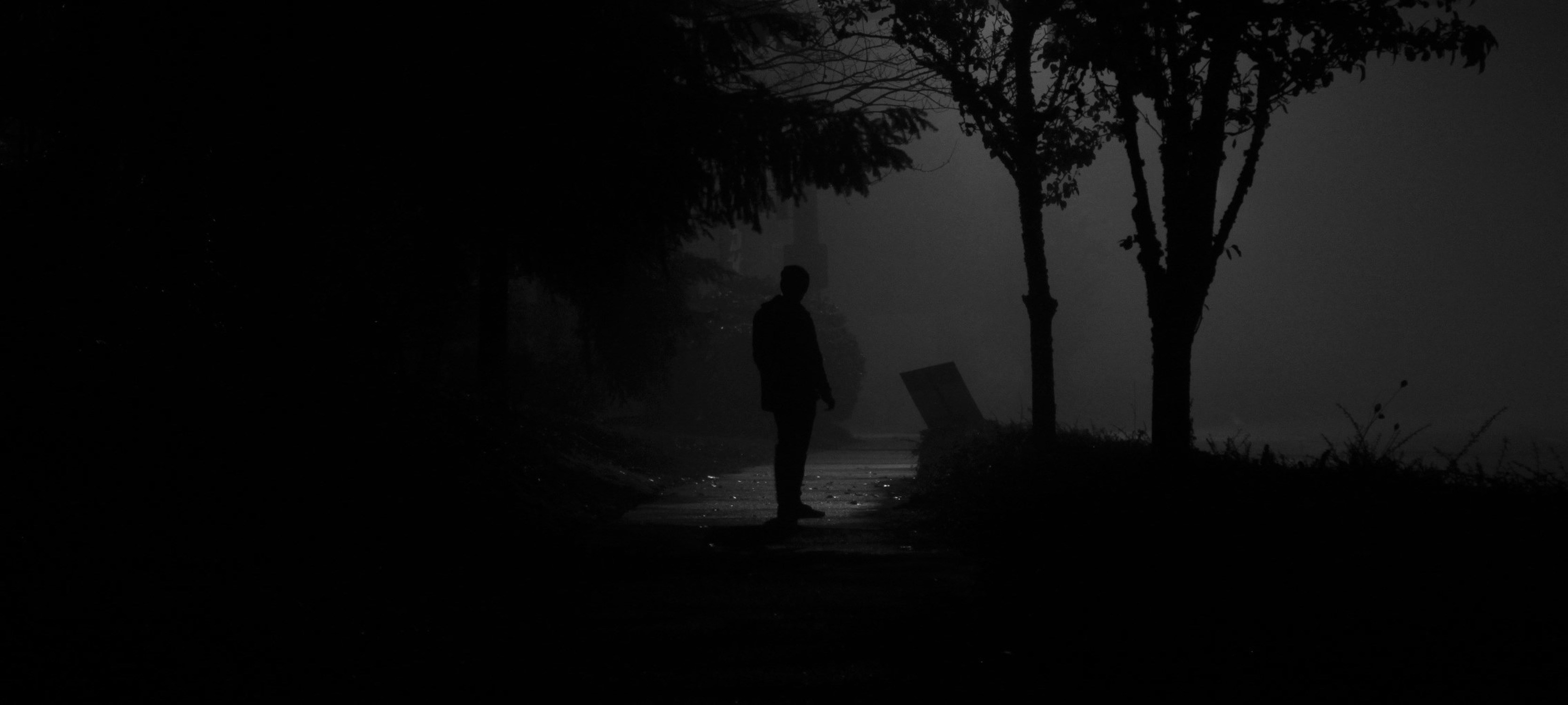 Karanlık ve sisli bir boşlukta, yolunu kaybetmiş ve kendi benliğini arayan yalnız bir insan silüeti.