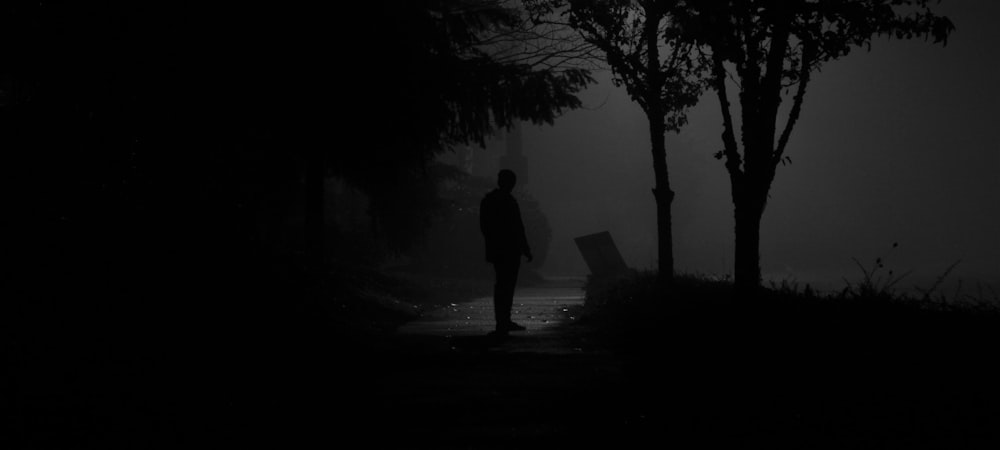 a person walking in a foggy forest