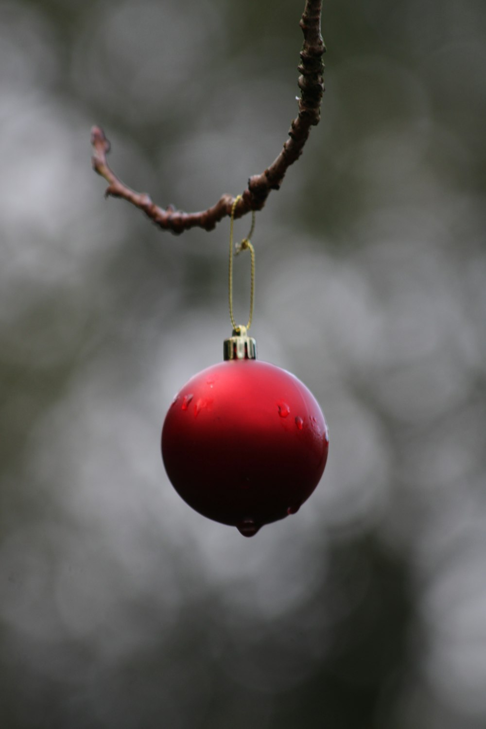 Un palloncino rosso da un albero