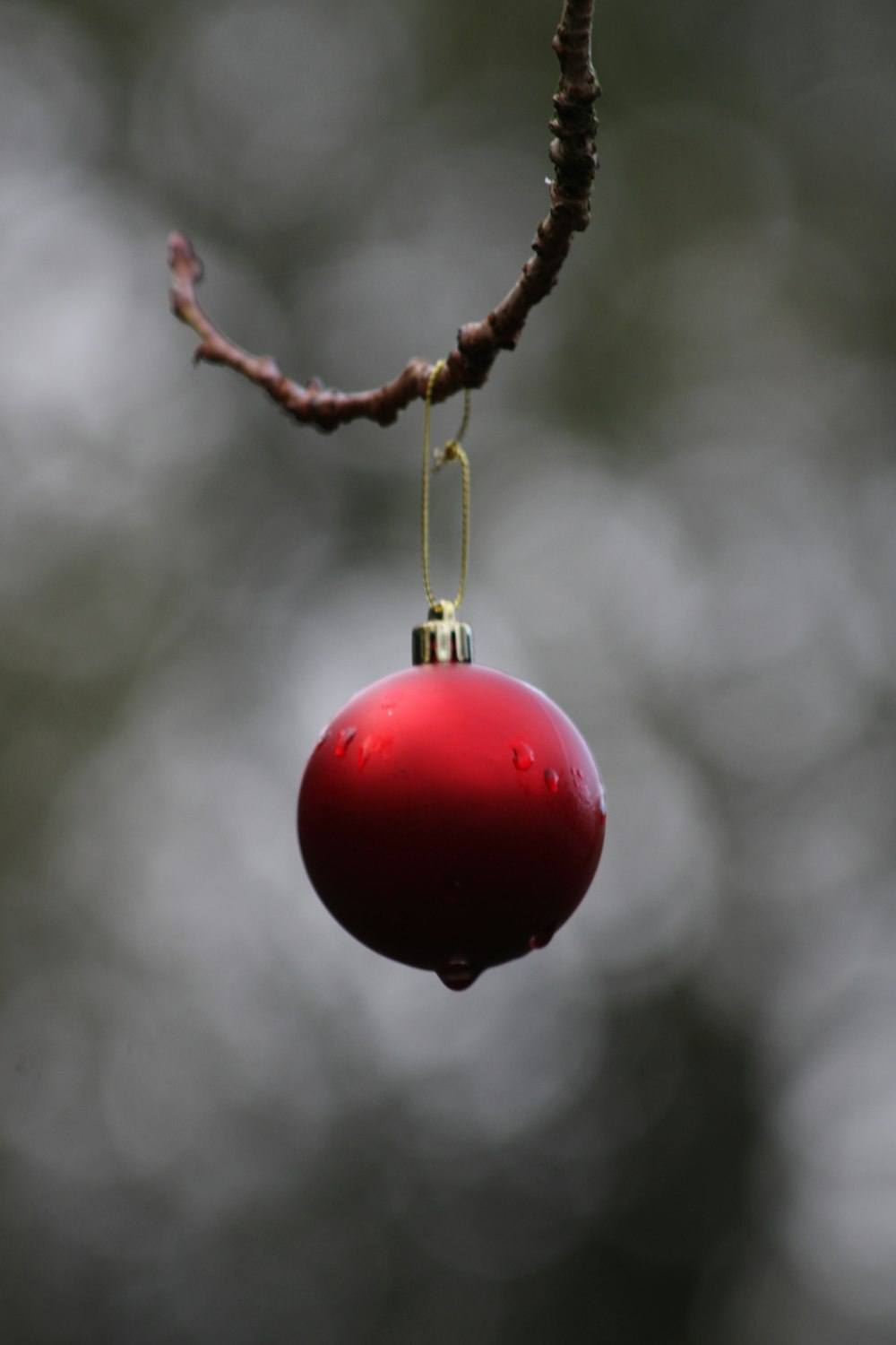 a red balloon from a tree