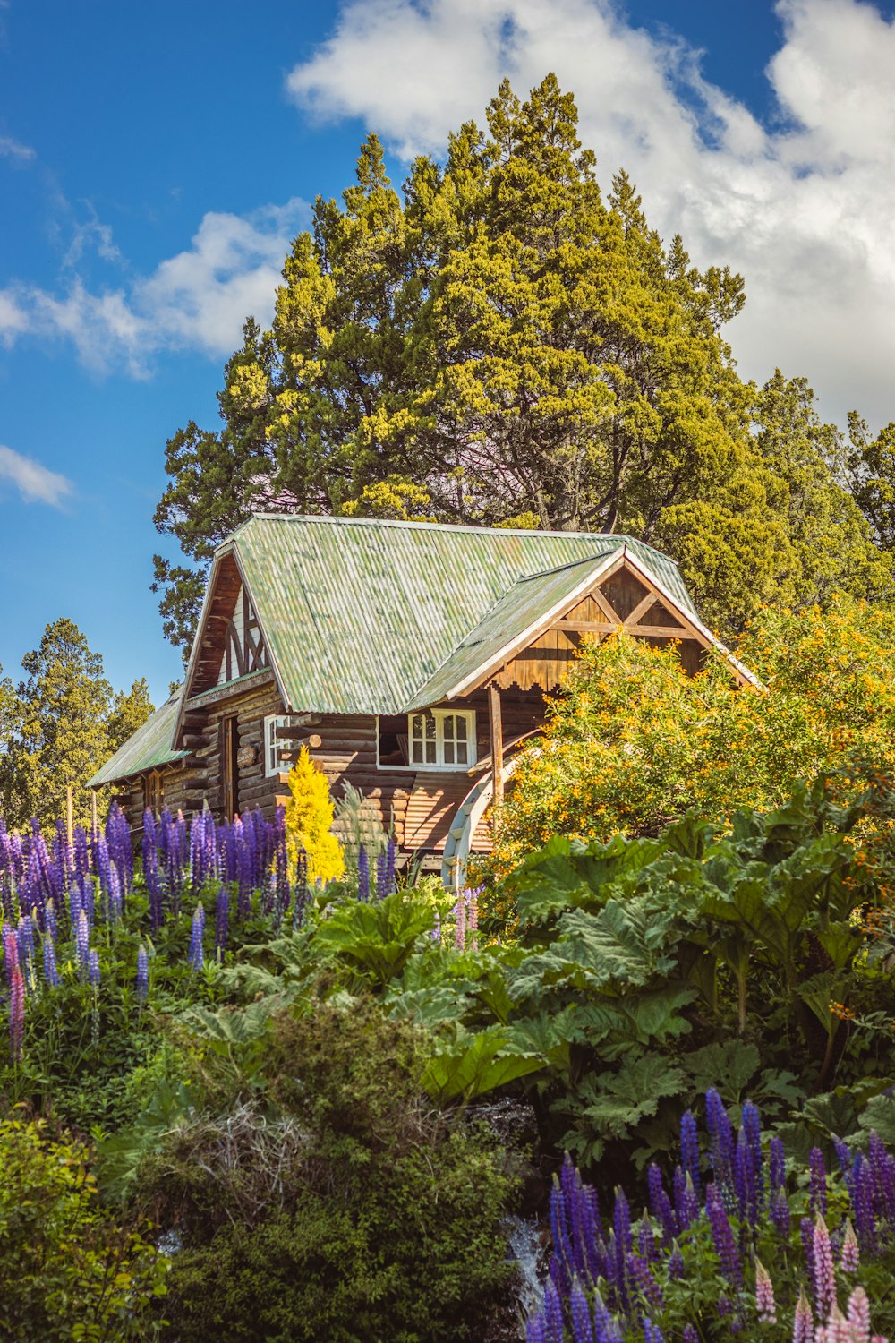 a house surrounded by trees