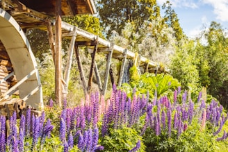 A charming rustic mill surrounded by vibrant wildflowers under a clear blue sky.