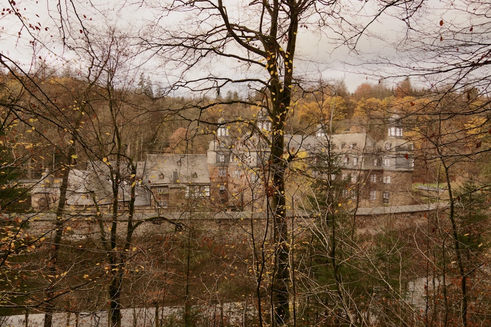 a group of trees with a building in the background