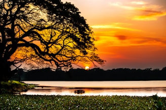 a sunset over a lake