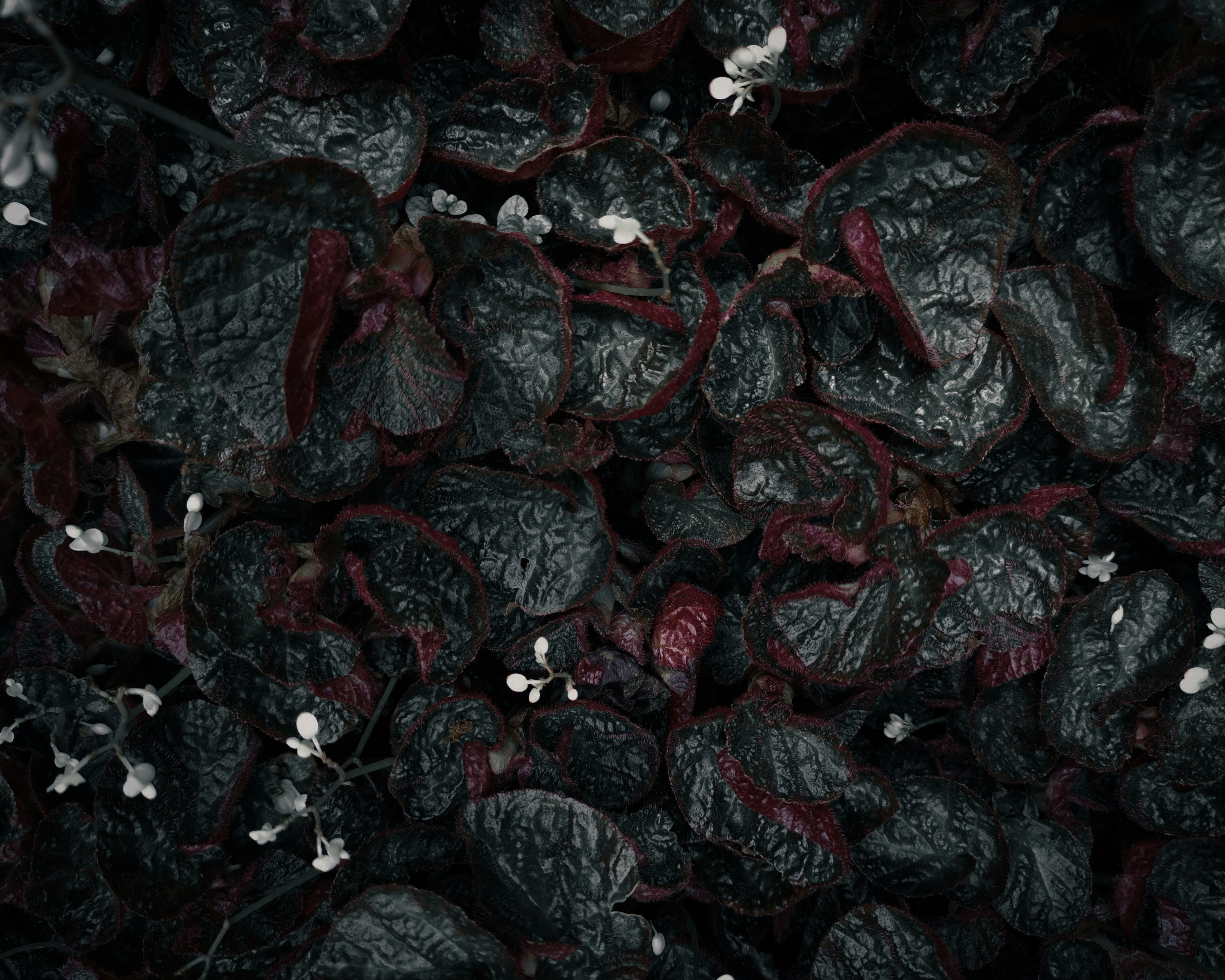 Фоновый паттерн