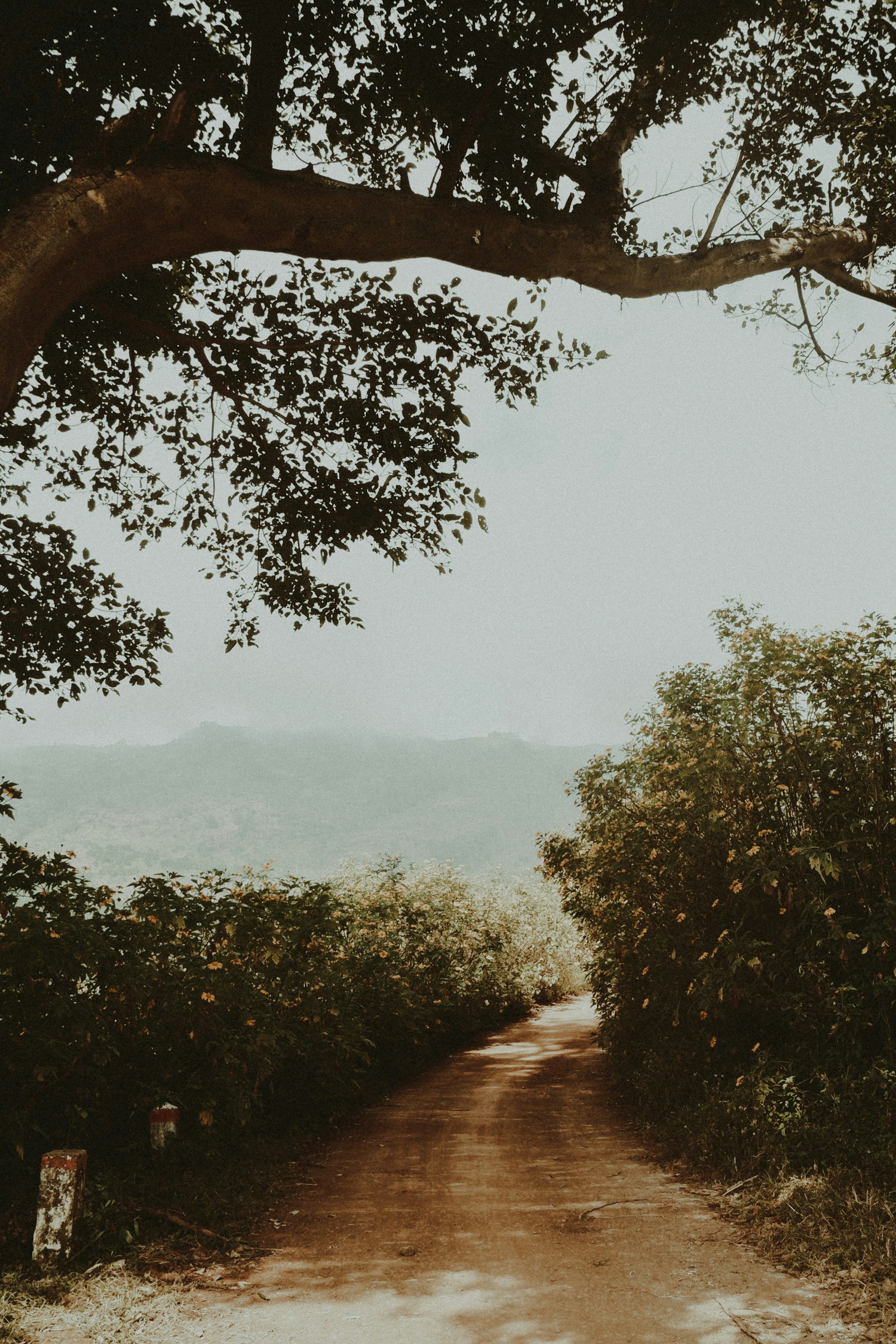 Photo by nguyettu263