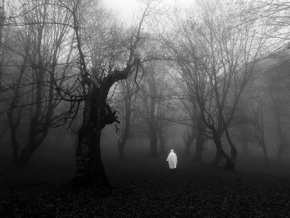 a person walking in a foggy forest