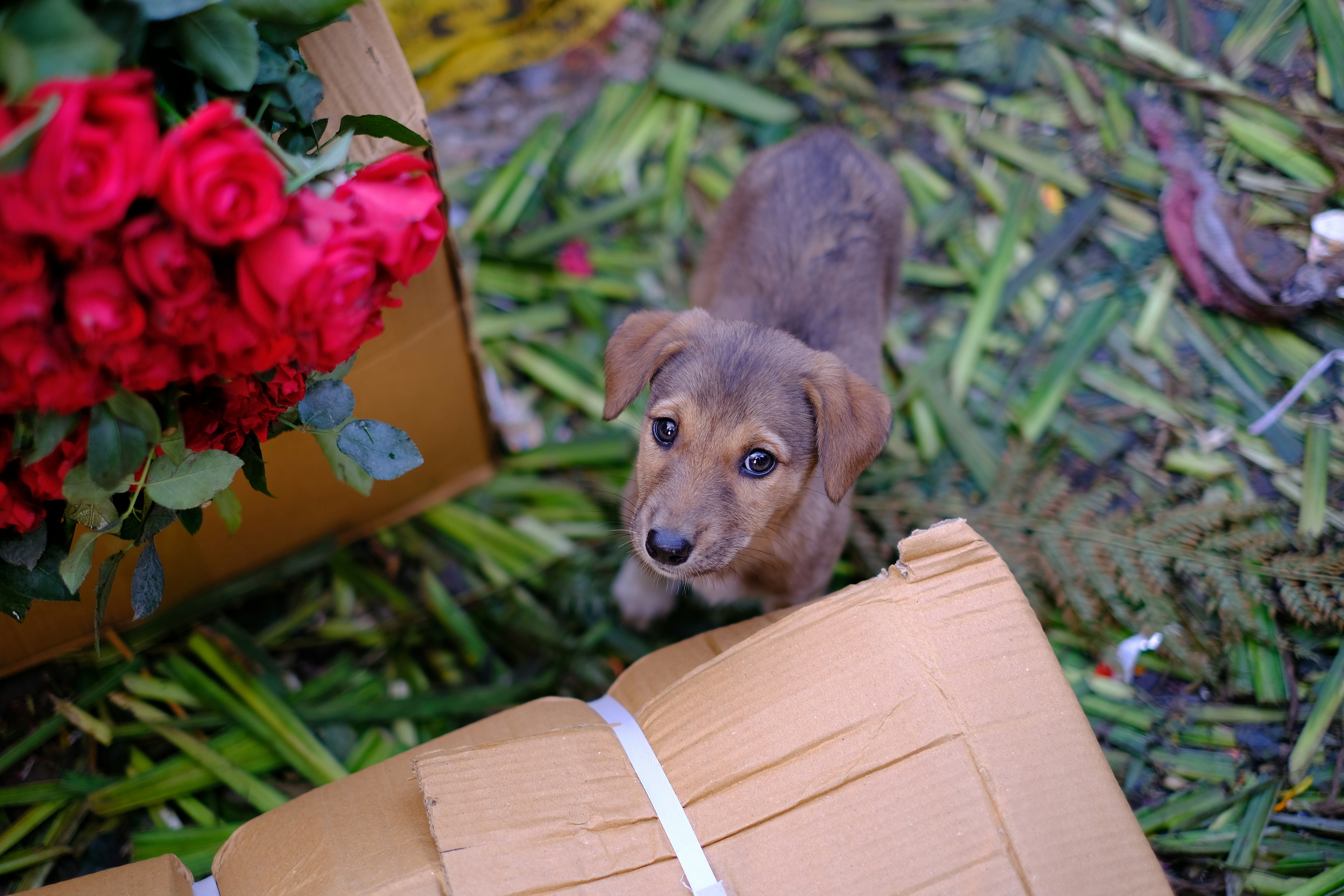 photo-1670052195662-8e0a314c9286?ixid=M3