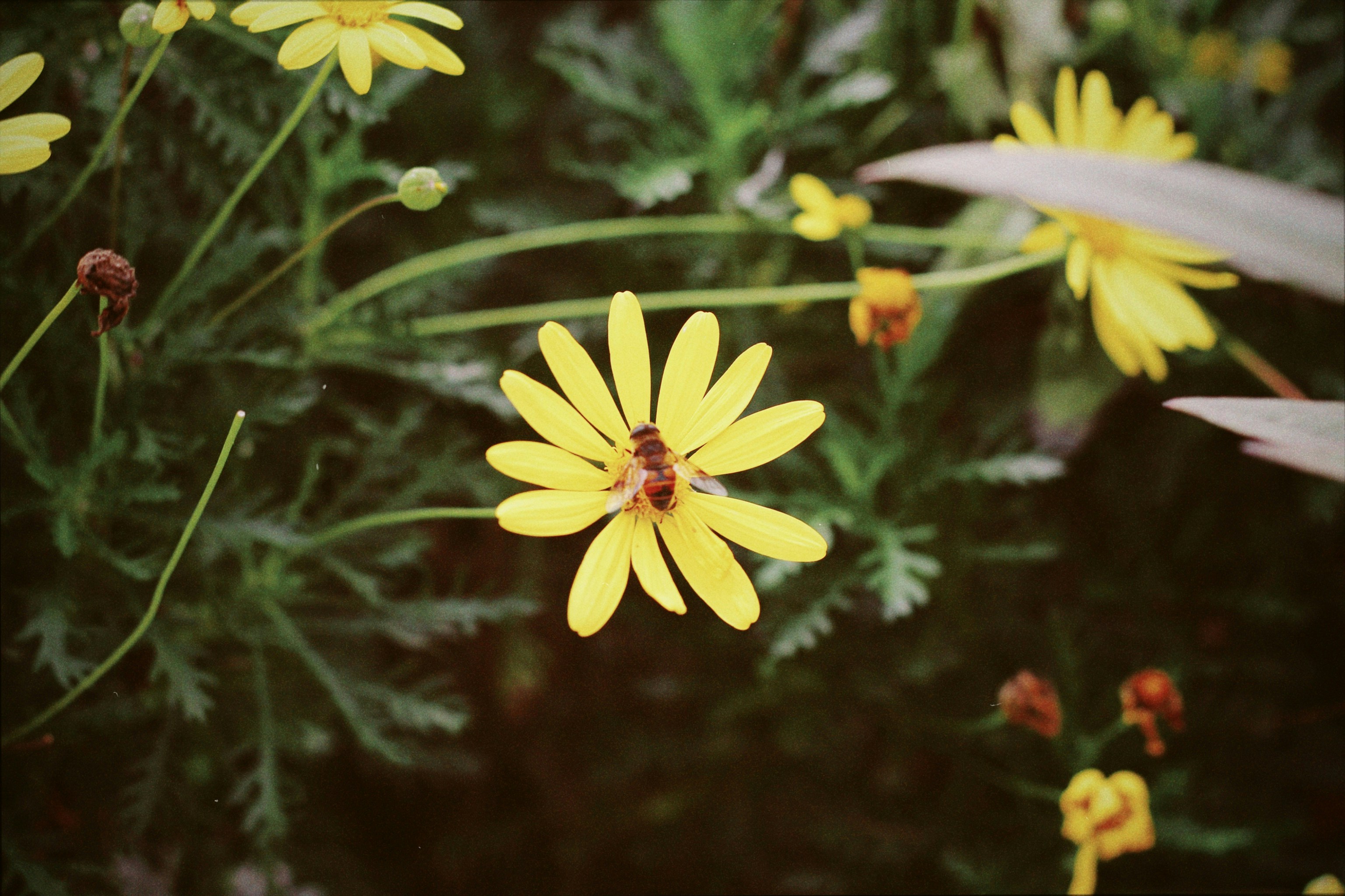 Photo by danie_dxxx
