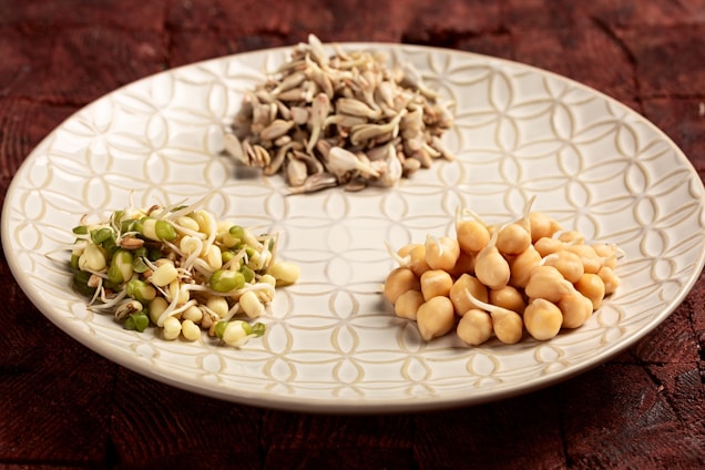A decorative white ceramic plate holds three distinct piles of legumes: mung beans, chickpeas, and sunflower seeds. The mung beans are slightly sprouted, showcasing their green and white colors, while the chickpeas are beige and also contain small sprouts. The sunflower seeds appear dry with a brownish hue. The background features a textured, dark wooden surface, creating a warm contrast with the plate.