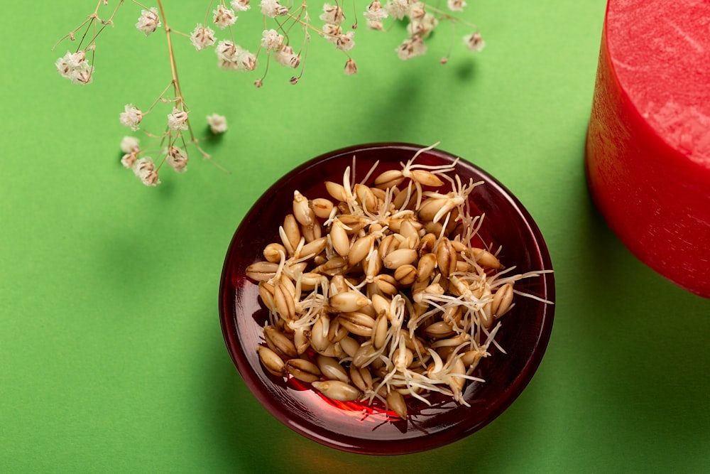 a bowl of cereal