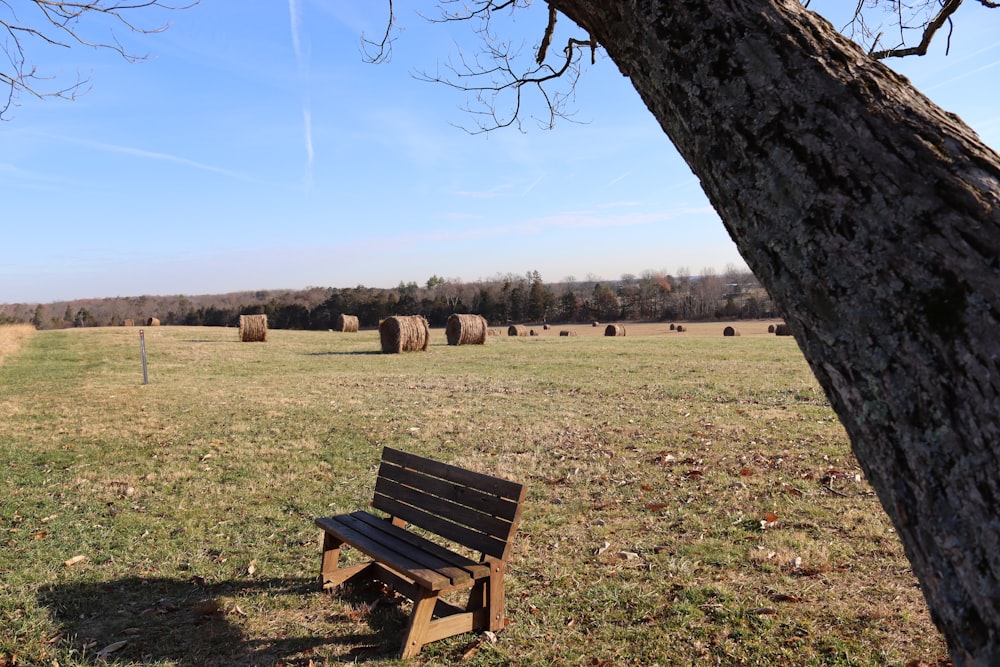 a bench sits unoccupied