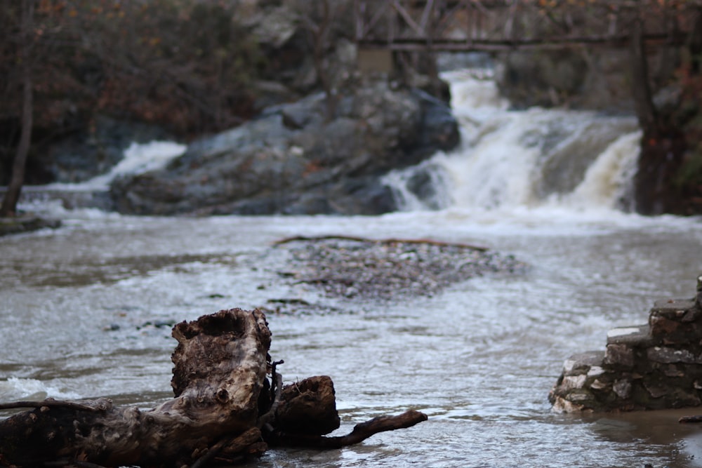 a river with rocks and a waterfall