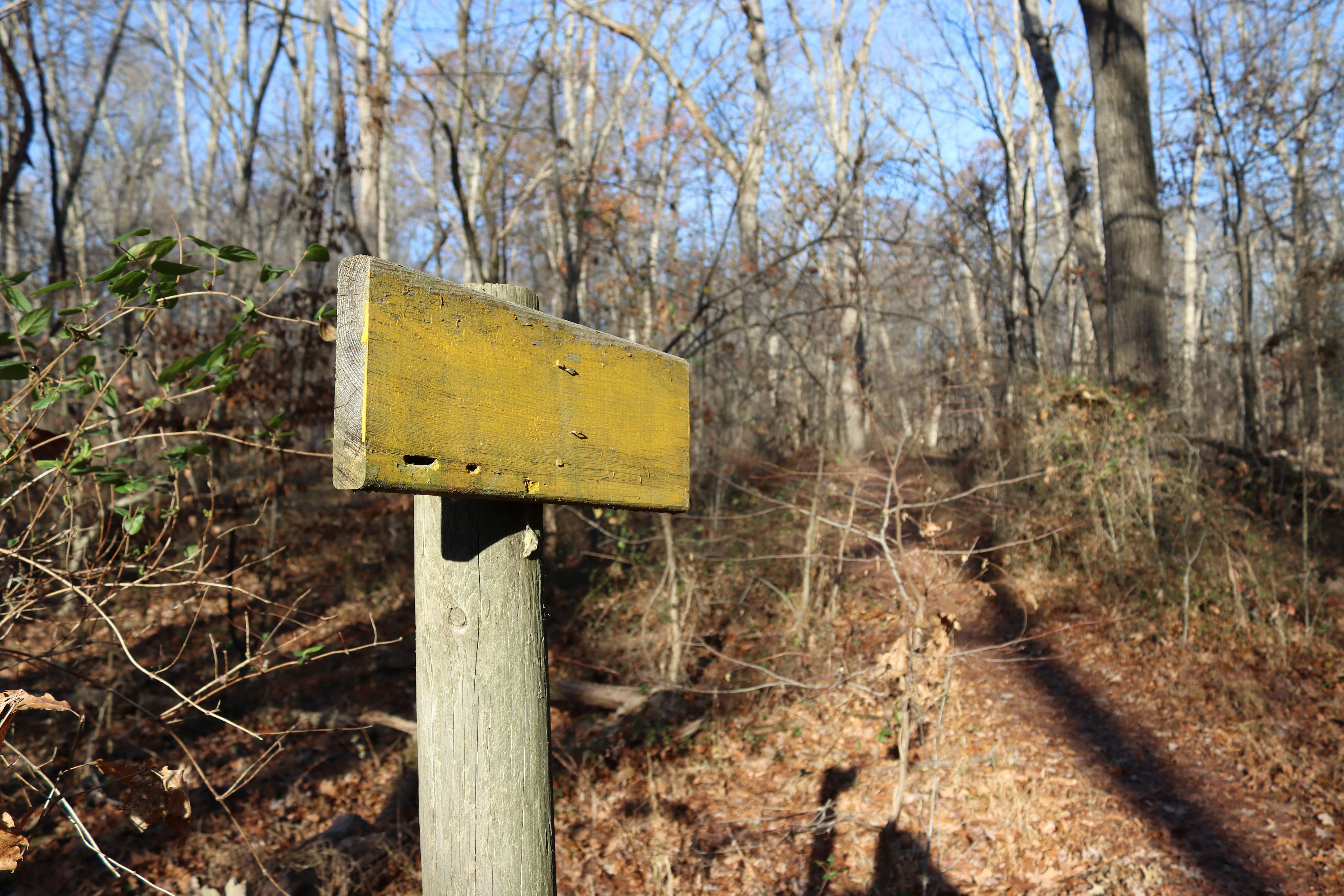 a wooden sign on a post
