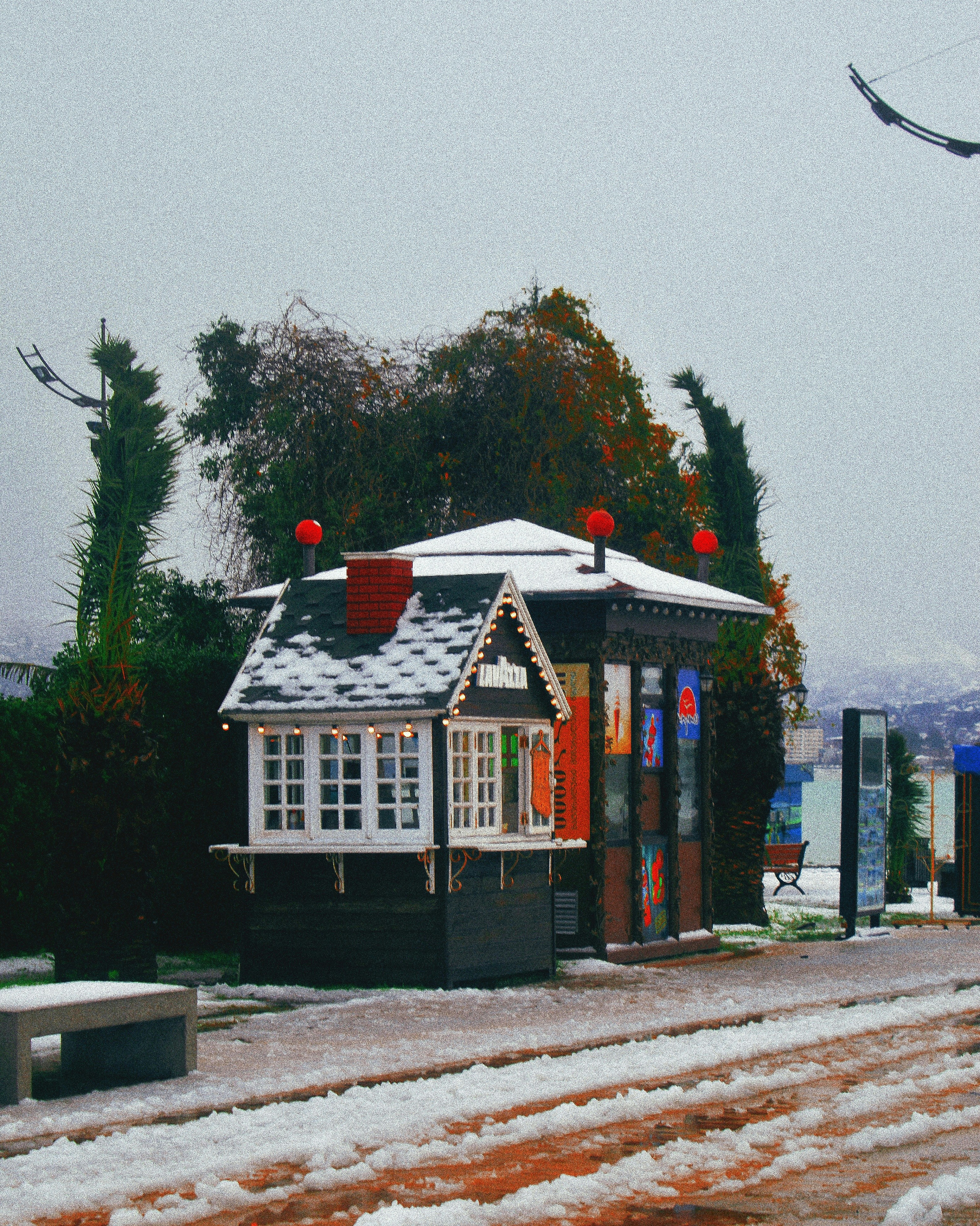 georgia winter rental