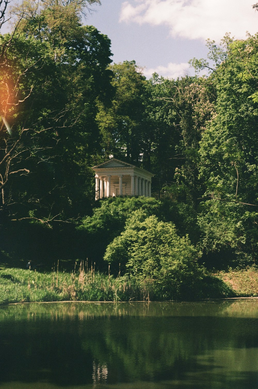 a house surrounded by trees