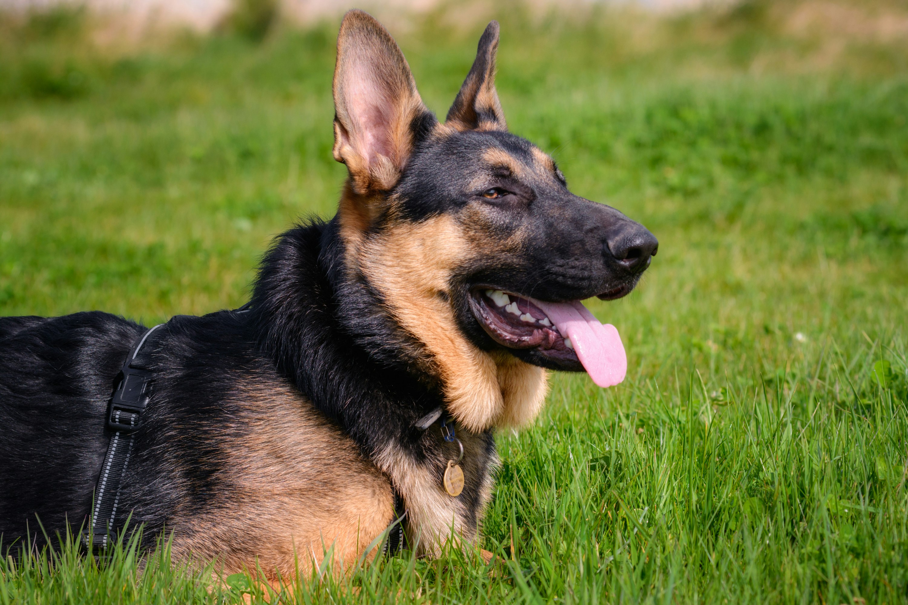 Photo by jason_atack