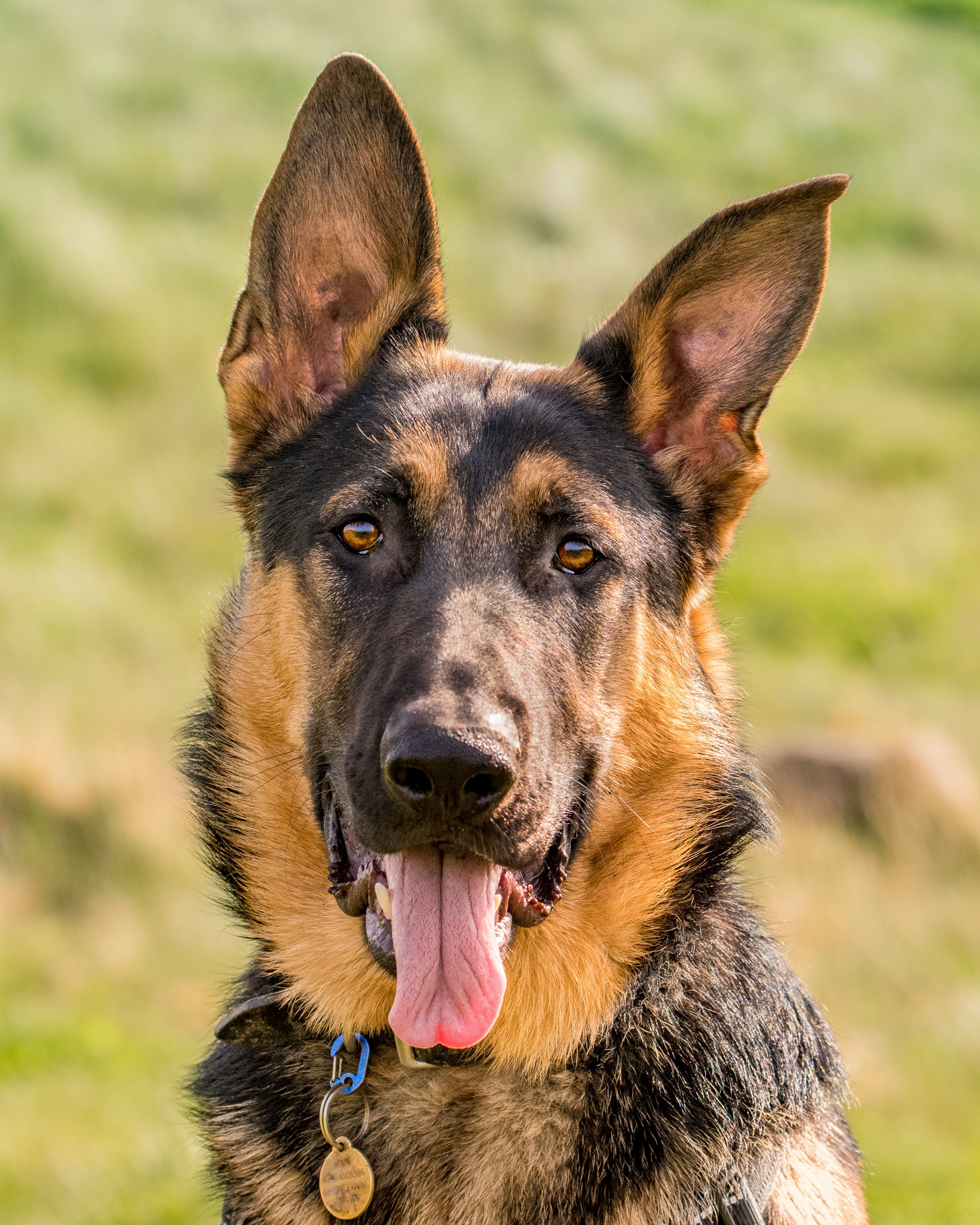 Photo by jason_atack