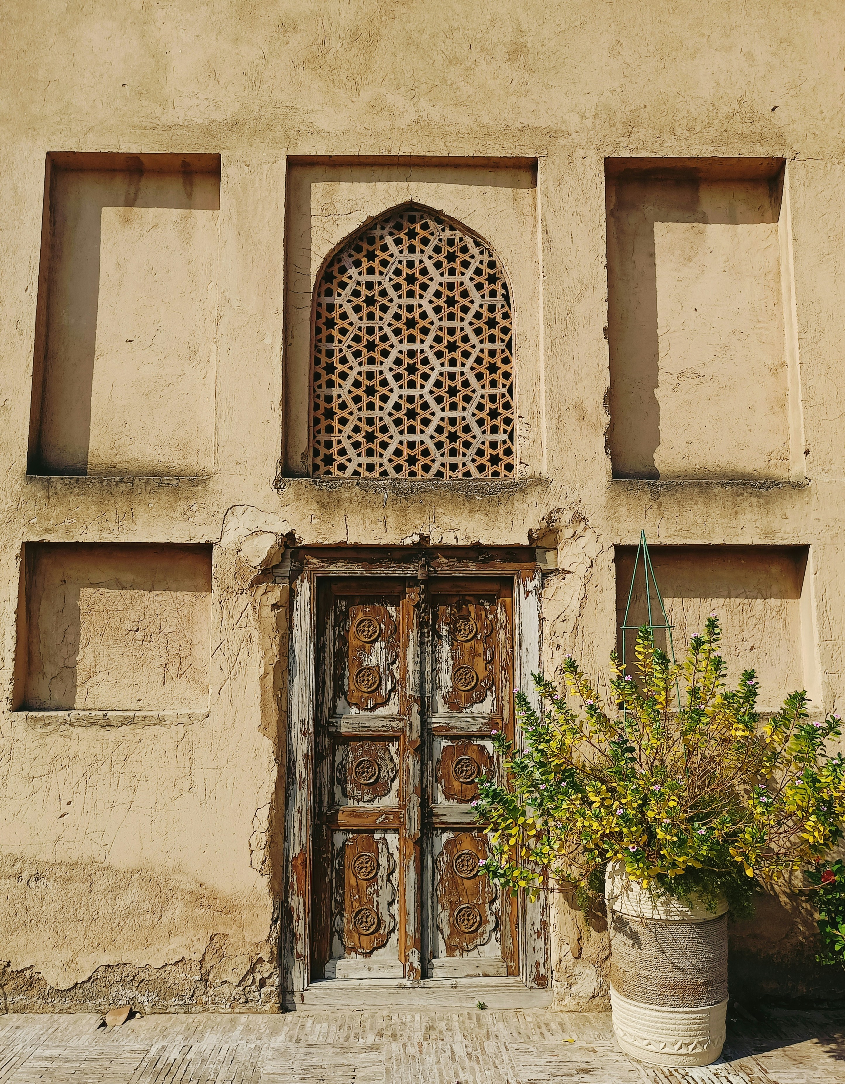 Photo by mubashrajavid_23