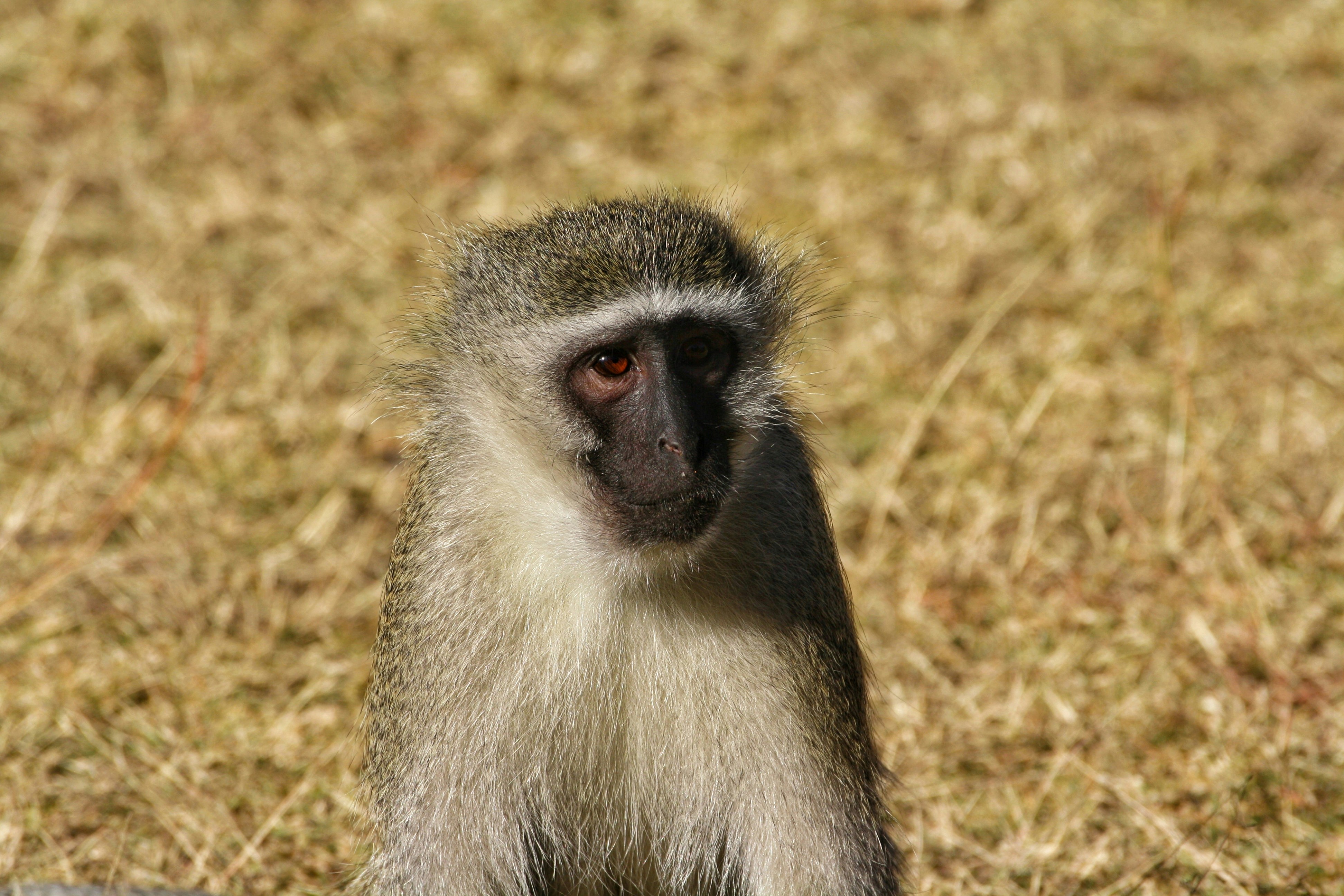 Photo by jordan_lee_nuns