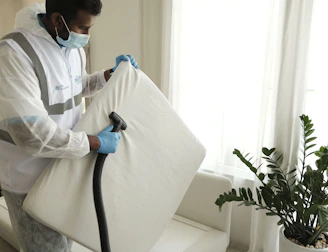 A person wearing protective clothing, a face mask, and gloves is cleaning a white cushioned furniture piece using a vacuum cleaner. The setting appears to be indoors with bright natural light streaming in through large windows. A green potted plant is placed next to a white sofa, adding a touch of nature to the clean and tidy environment.