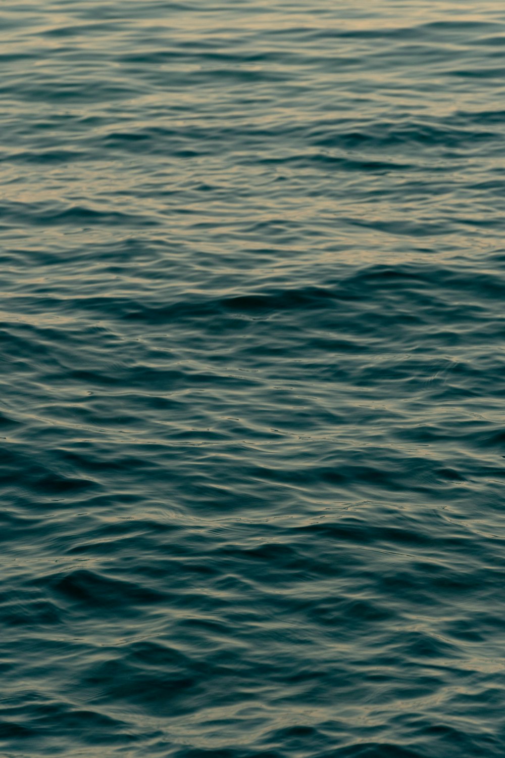 um corpo de água com ondas