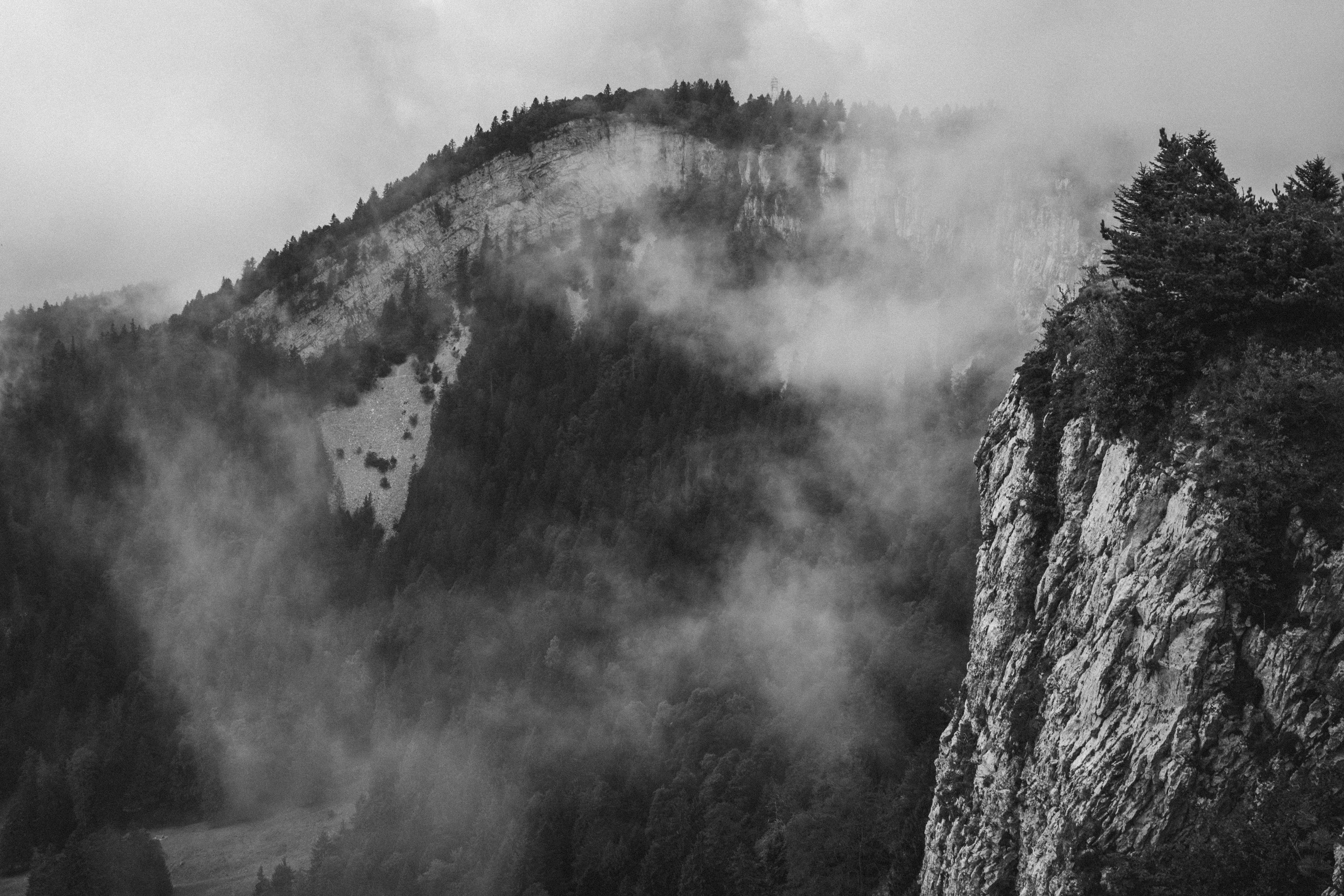 Photo by miguel_ind0