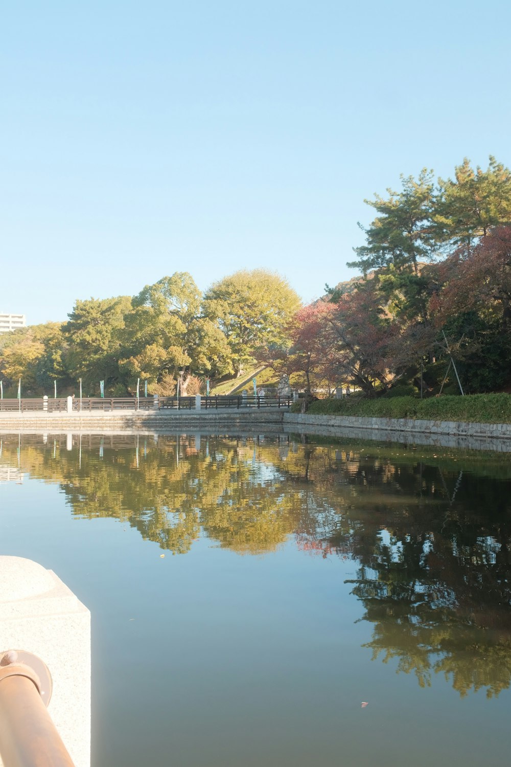 a body of water with trees around it