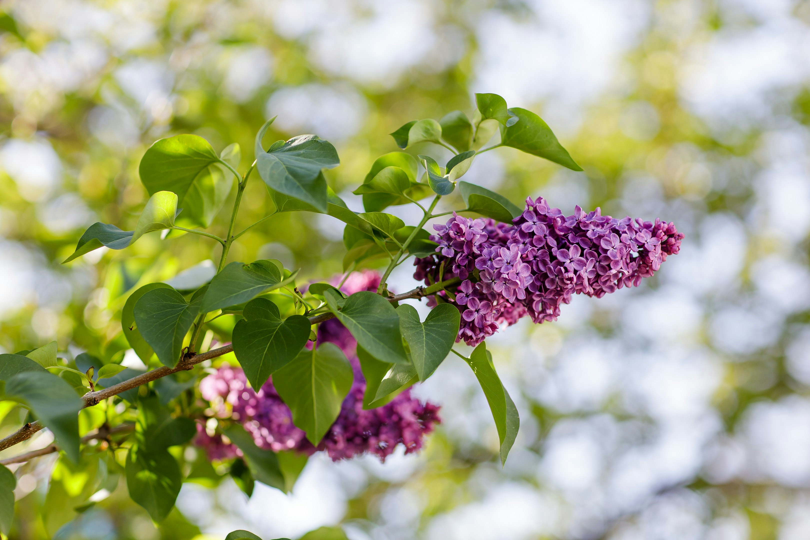 Photo by malygos6000