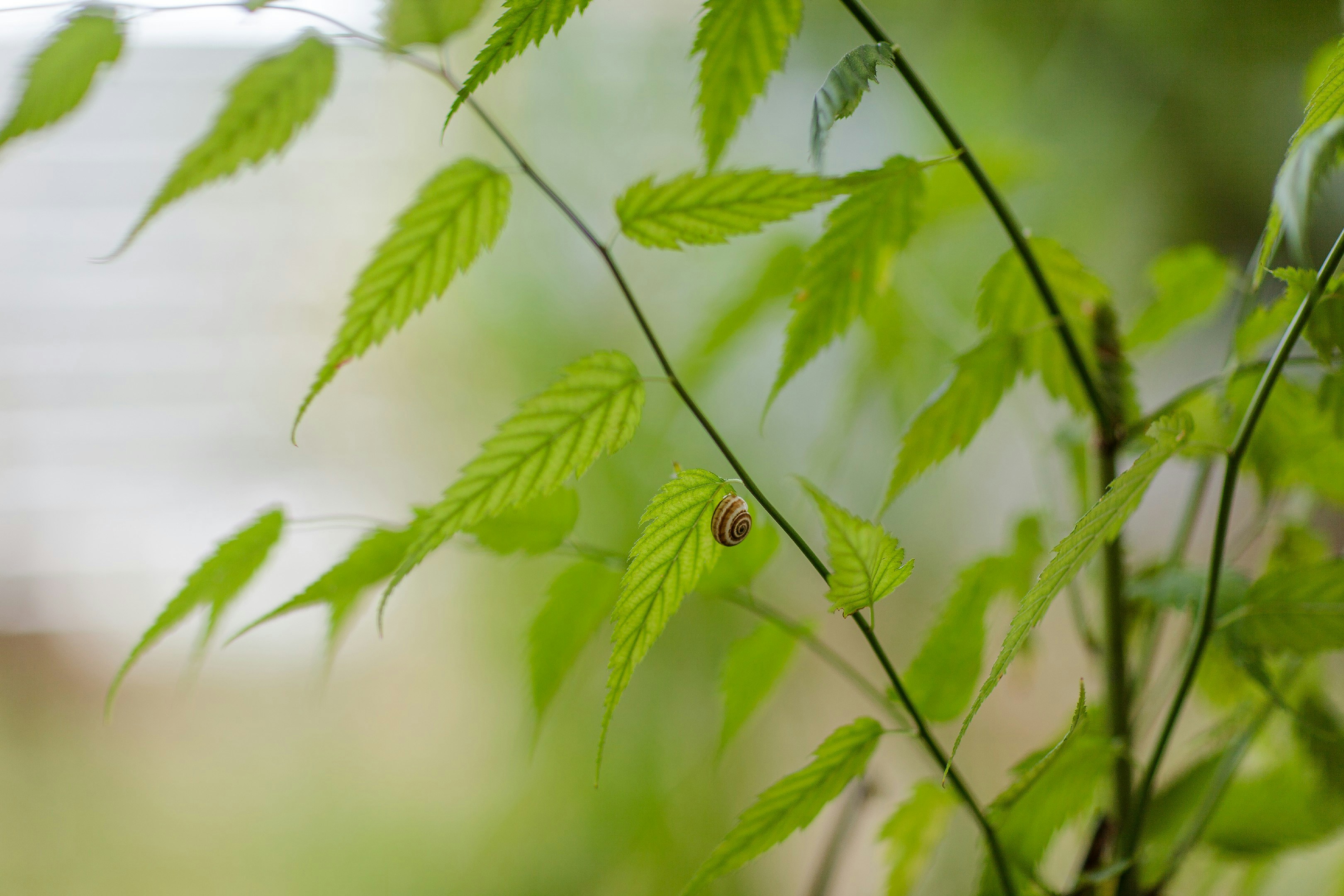 Photo by malygos6000