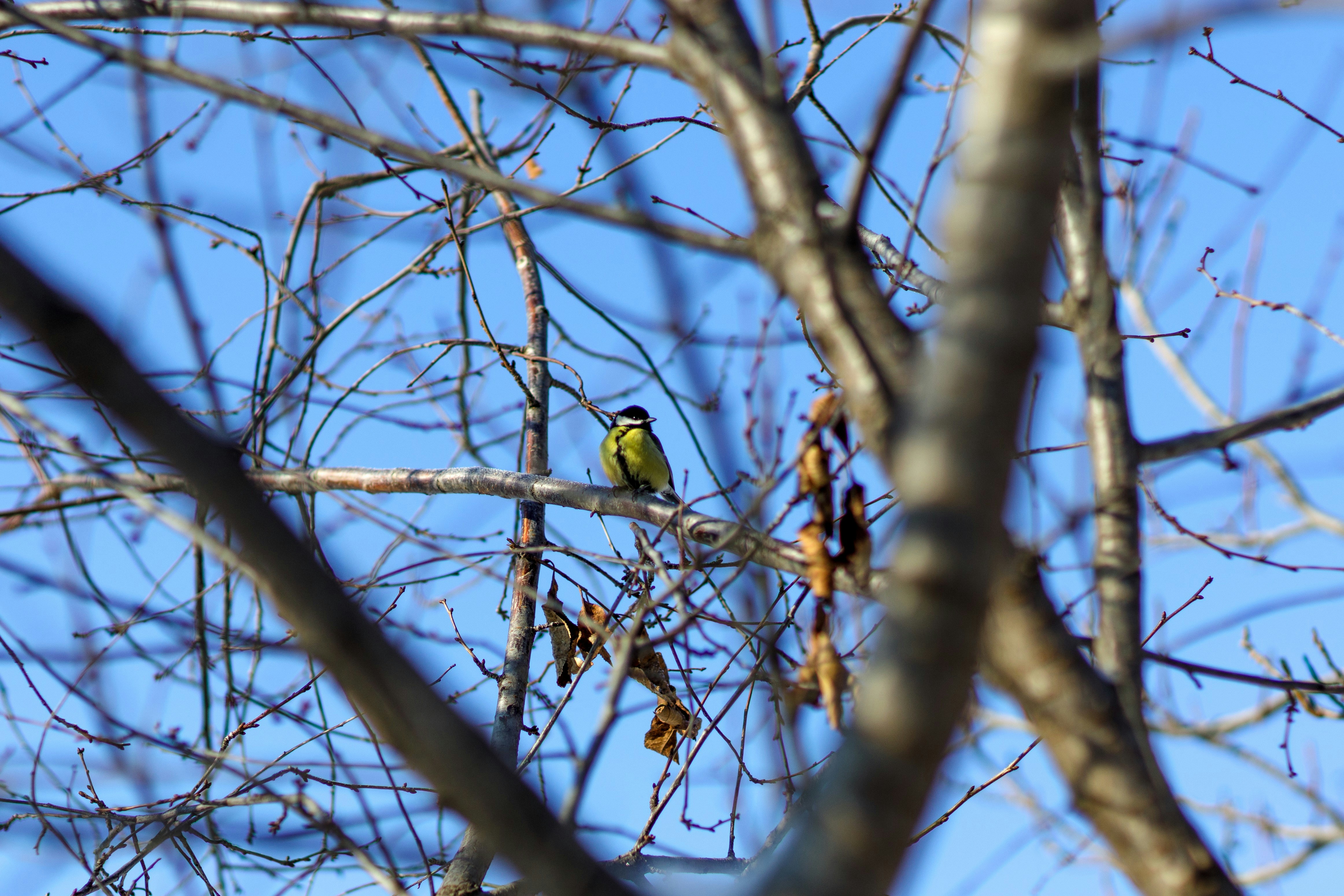 Photo by malygos6000