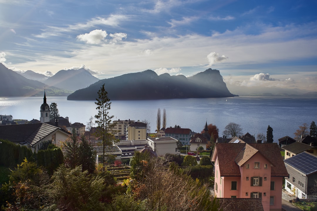 a town with a lake in the background, View of the Vierwaldstättersee during a beautiful winter morning