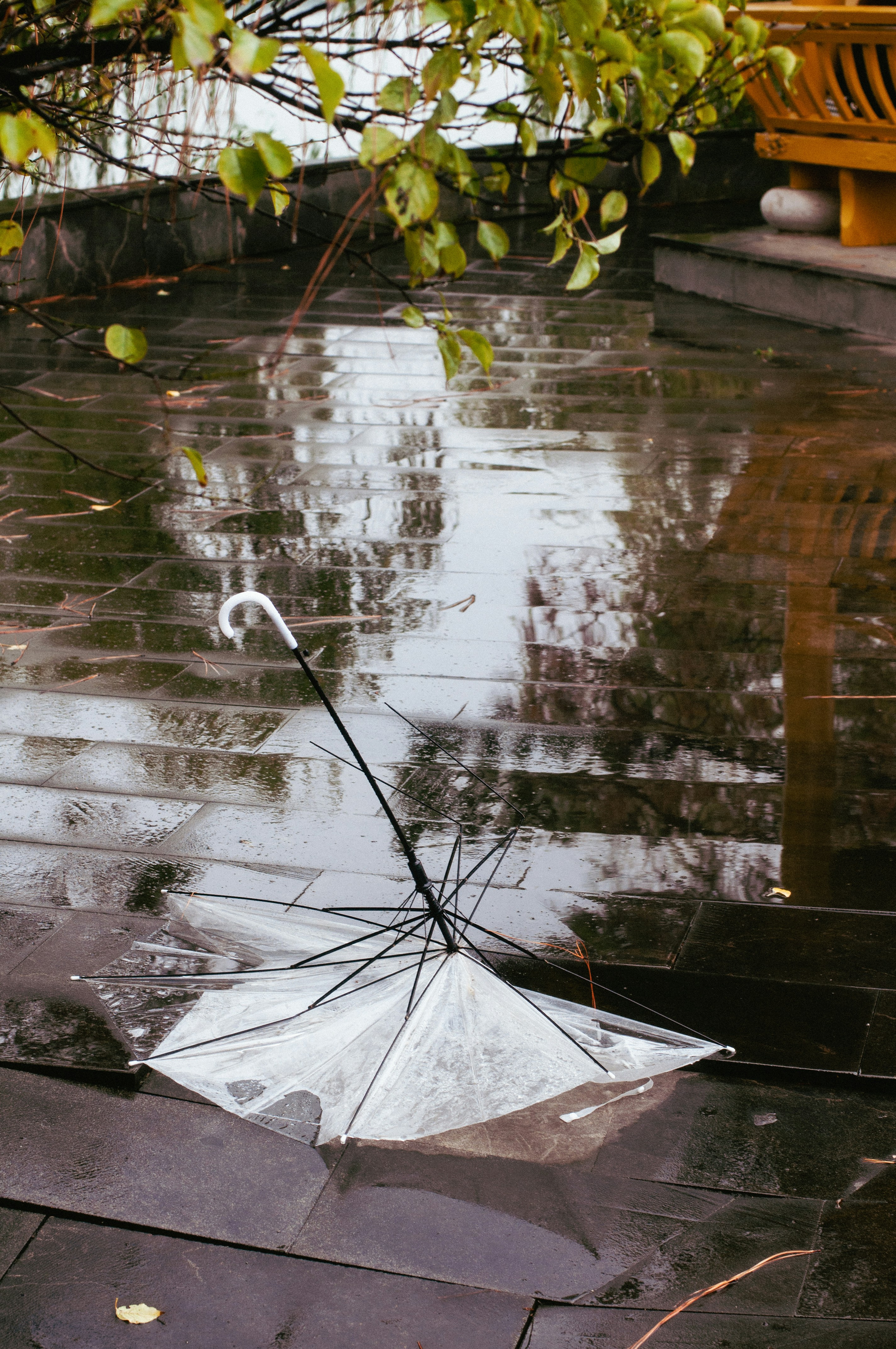 Compact Folding Umbrella