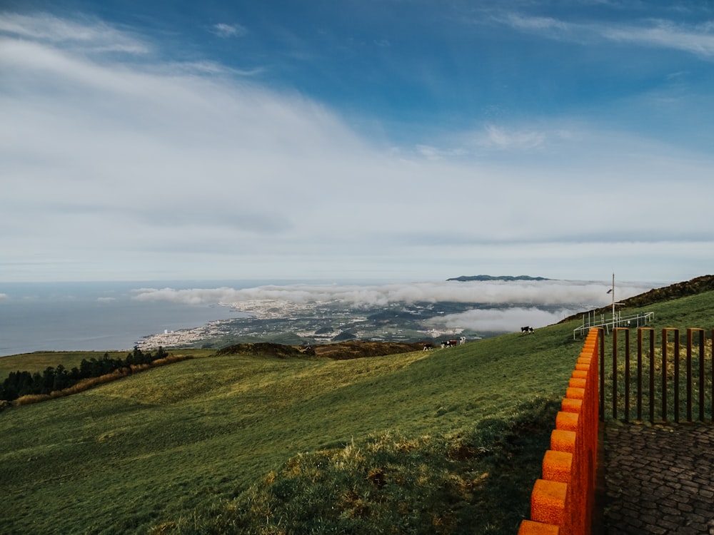 a path leading to a beach