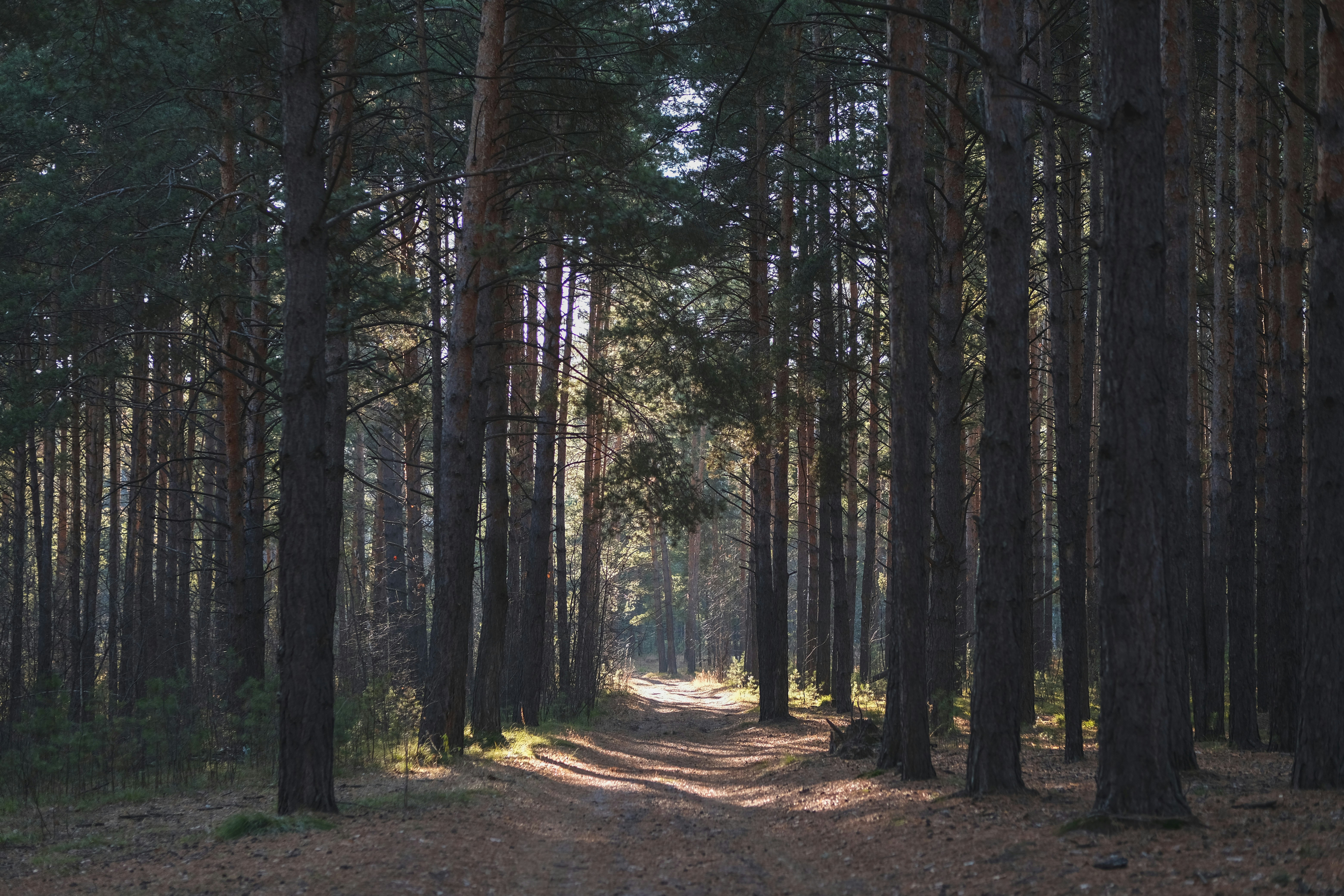 Photo by rolig_basseng