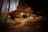 A natural arch of rock is surrounded by a dense forest with bare trees and scattered green foliage. The ground is carpeted with fallen leaves, creating a rustic and earthy environment. Sunlight filters through the trees, casting dappled shadows on the scene.